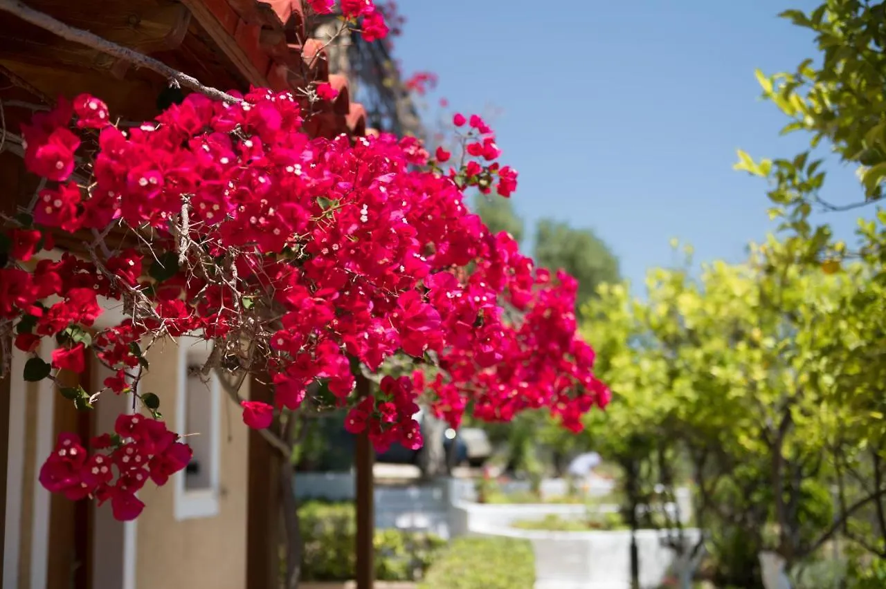 BUENA VISTA studios Lourdata  0*, Lourdata (Kefalonia) Grecia